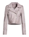 Bolongaro Trevor Woman Jacket Lilac Size Xxl Sheepskin In Purple