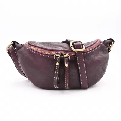 Bolsa Nova Handbags Women's Purple Avery Crossbody In Plum