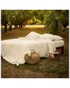 Bombacio Linens Sunset Ivory Brushed Cotton Percale Duvet Cover In Ivory