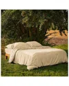 Bombacio Linens Sunset Sand Brushed Cotton Percale Fitted Sheet In Sand