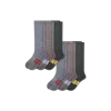 Bombas Everyday Compression Sock 6-pack (15-20mmhg) In Sage Spice