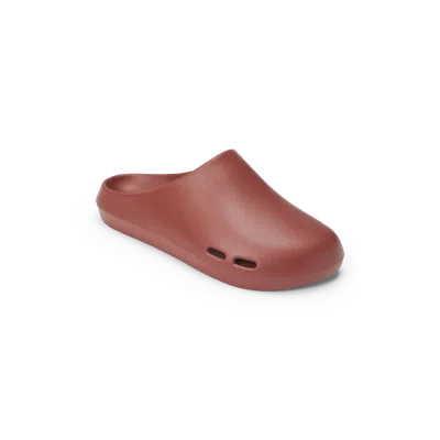 Bombas Friday Clog In Brown