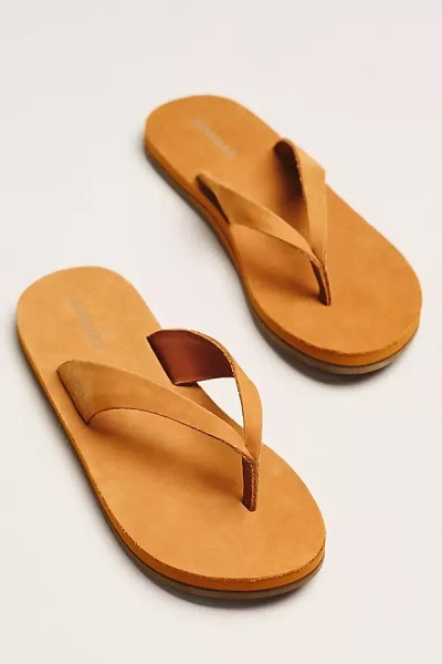 Bombas Sunrise Leather Flip Flops In Sand