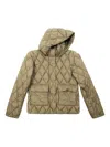 Bomboogie Hooded Quilted Jacket In Green