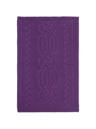 Bompard Cable-stitch Cashmere Snood In Purple