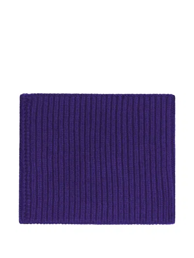 Bompard Sam Ribbed Cashmere Snood In Purple