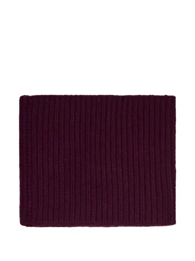 Bompard Sam Ribbed Cashmere Snood In Red