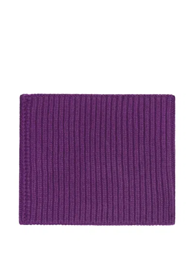 Bompard Sam Ribbed Snood In Purple