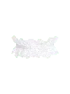 Bonbon Lingerie Women's White Jewel Garter In White