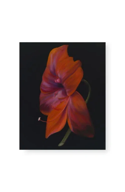 Bond & Grace La Belle Dame By Holly Lowen, 8x10 Art Print In Red