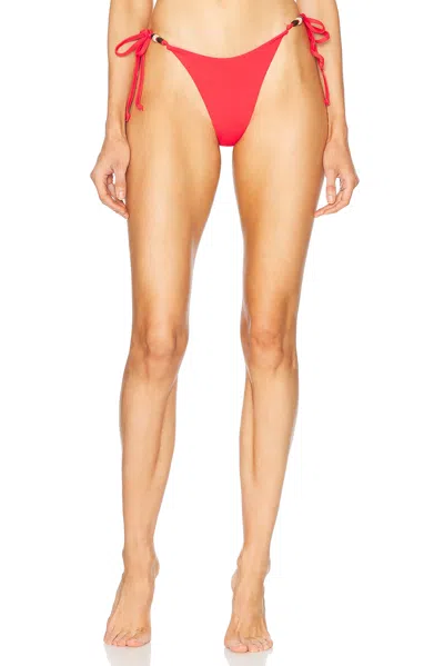 Bond Eye Anali Reversible Brief Bikini Bottom In Cherry & Hibiscus