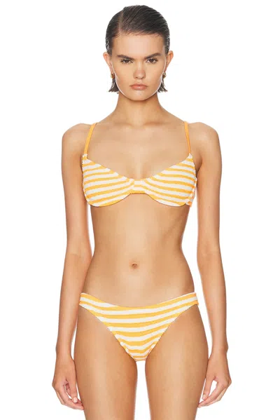 Bond Eye Gracie Balconette Bikini Top In Multi