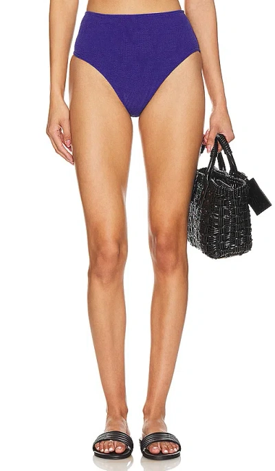 Bond Eye Palmer Brief Bikini Bottom In Sapphire