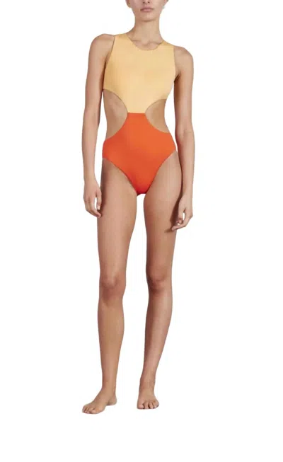 Bondi Born Celine One Piece In Ginger In Multi
