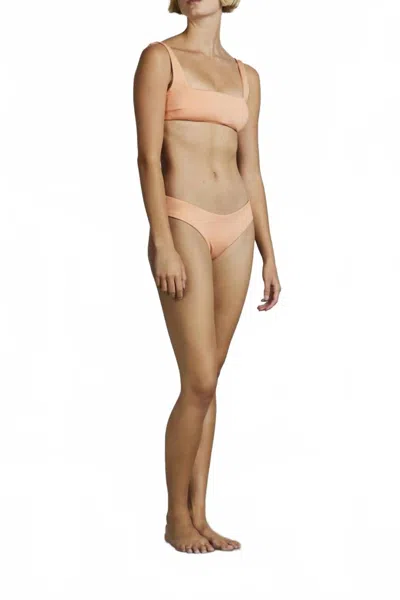 Bondi Born Classics Nadia Bikini Bottom In Peach In Pink