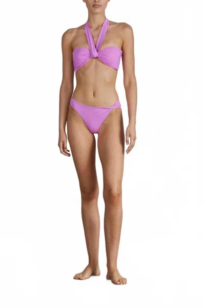 Bondi Born Sylvie Bikini Top In Flamingo In Purple