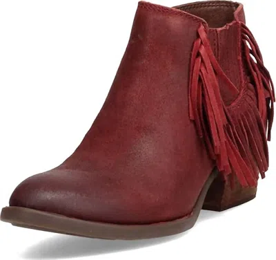Bondi Born Women's Danni Boot In Dark Red In Brown