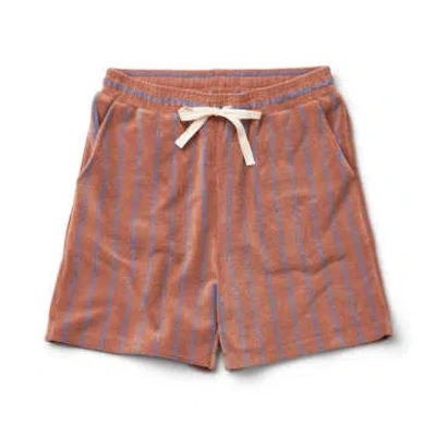 Bongusta Small Camel & Ultramarine Naram Shorts In Brown