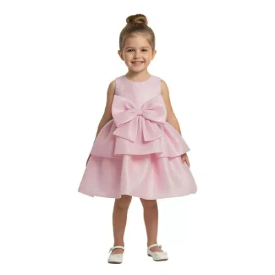 Bonnie Jean Babies' Toddler Girls Sleeveless A-line Dress In Pink