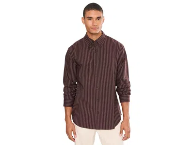 Bonobos Everyday Oxford Shirt Men's Clothing Pinecone Stripe: Md, Cotton In Brown