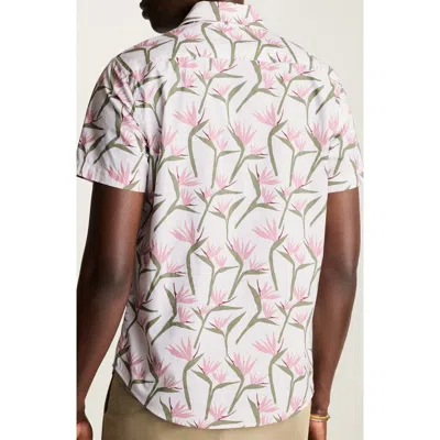 Bonobos Riviera Slim Fit Point Collar Short Sleeve Stretch Cotton Button-up Shirt In Birds Of Paradise