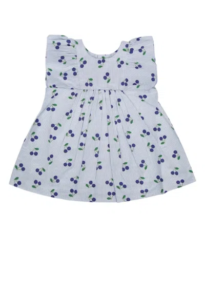 Bonpoint Babies' Girls Blue Stripe Cherry Dress In Raciel