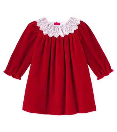 Bonpoint Jaylisa Organic Cotton Velvet Lace Collar Dress In Red