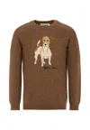 Bonpoint Brown Jumper For Boy With Logo And Dog In Brown