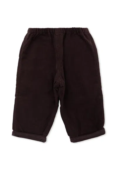 Bonpoint Brown Trousers For Baby Boy With Logo