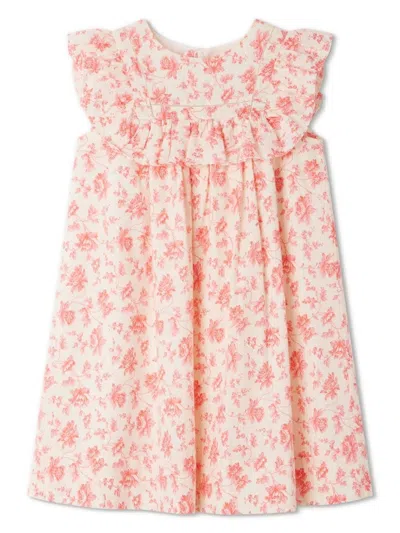 Bonpoint Kids' Charlyne Dress In Raspberry In Red