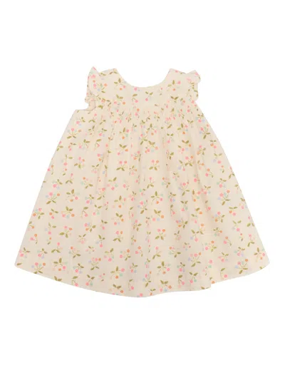 Bonpoint Kids' Clothibis Dress In Pink