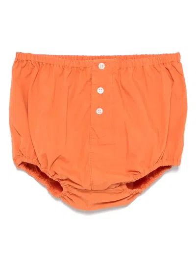 Bonpoint Babies' Cotton Bloomers In Orange