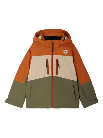 Bonpoint Kids' Domus Hooded Windbreaker Jacket In Brown