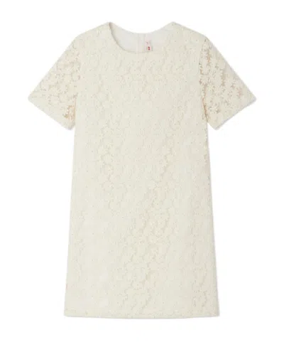 Bonpoint Emanuela Floral-embroidered Tulle Dress In White