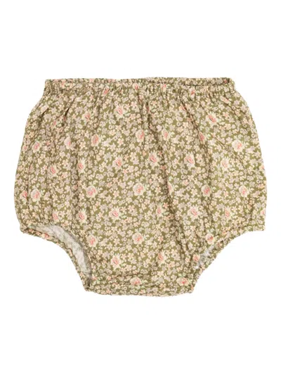 Bonpoint Babies' Floral Bloomers In Green
