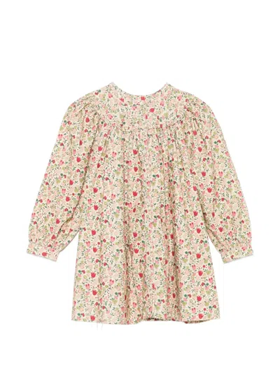 Bonpoint Kids' Floral-print Ruffled Dress In Neutral