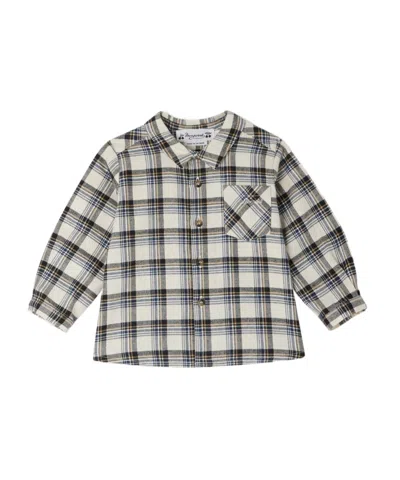 Bonpoint Gillo Shirt With Pointed Collar In Gray