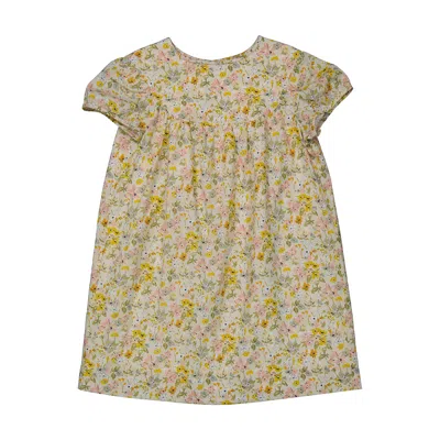 Bonpoint Kids'  Girls Alinda Liberty Fabric Floral Print Dress In Gray