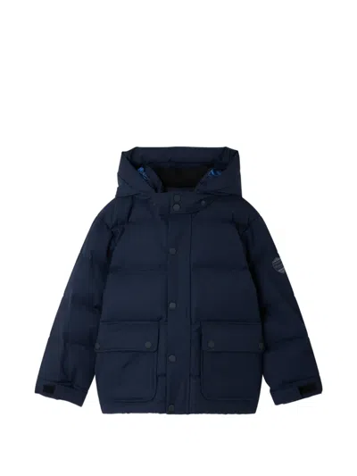 Bonpoint Kids' Hooded Padded Coat In Blue