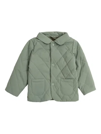 Bonpoint Babies' Joseph Quilted Button Jacket In Green