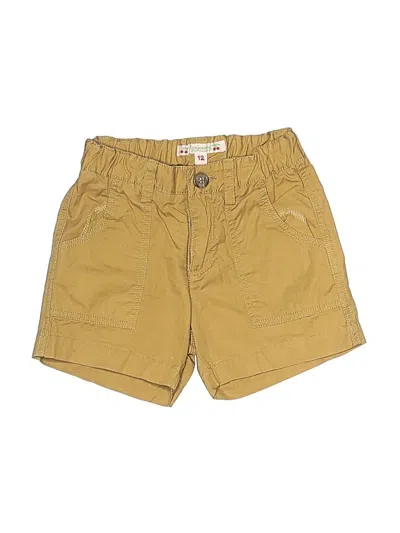 Pre-owned Bonpoint Kids' Khaki Shorts In Yellow