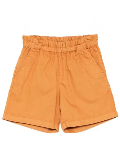 Bonpoint Kids' Leslie Shorts In Organic Cotton In Brown