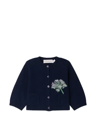 Bonpoint Babies' Mibou Moma Intarsia-knit Cardigan In Blue