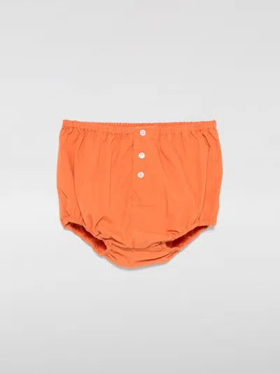 Bonpoint Babies' Pants  Kids Color Orange