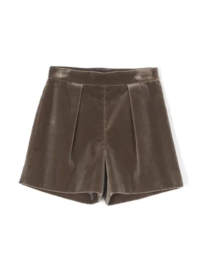 Bonpoint Kids' Pleat-detail Velvet Shorts In Brown