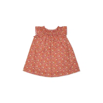Bonpoint Red Dress For Baby Girl With Floral Print