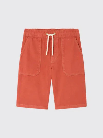 Bonpoint Shorts  Kids Color Red