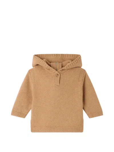 Bonpoint Babies' Tainy Hoodie In Brown
