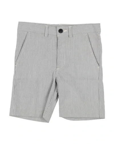 Bonpoint Babies'  Toddler Boy Shorts & Bermuda Shorts Charcoal Size 6 Cotton In Gray