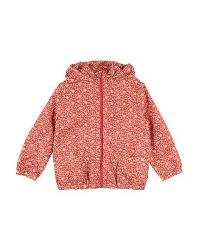 Bonpoint Babies'  Toddler Girl Jacket Tomato Red Size 6 Polyamide In Brown